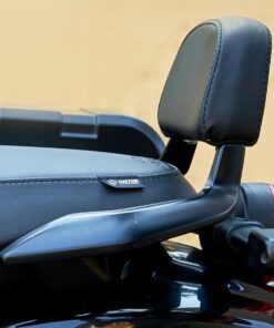 Hunter Passenger Backrest Mount